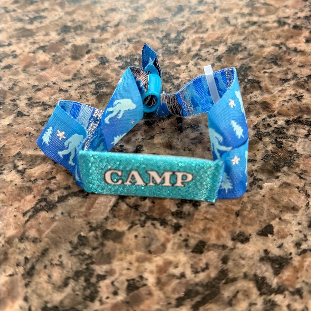 Blue Camp Flog Gnaw Tyler the Creator  Wristband from the event